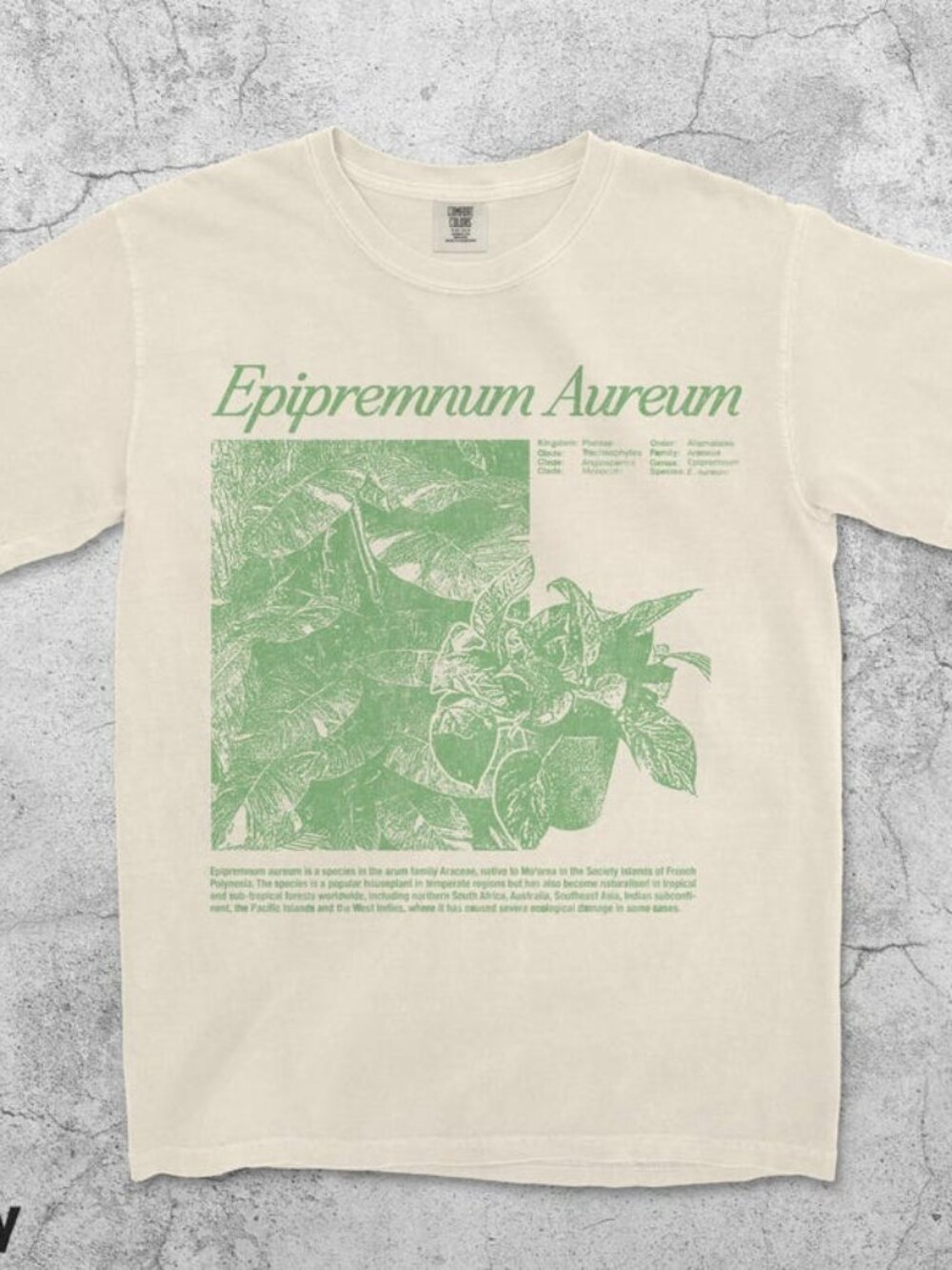 Vintage Golden Pothos Plant Lover Tee